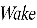 Wake_large_transparent